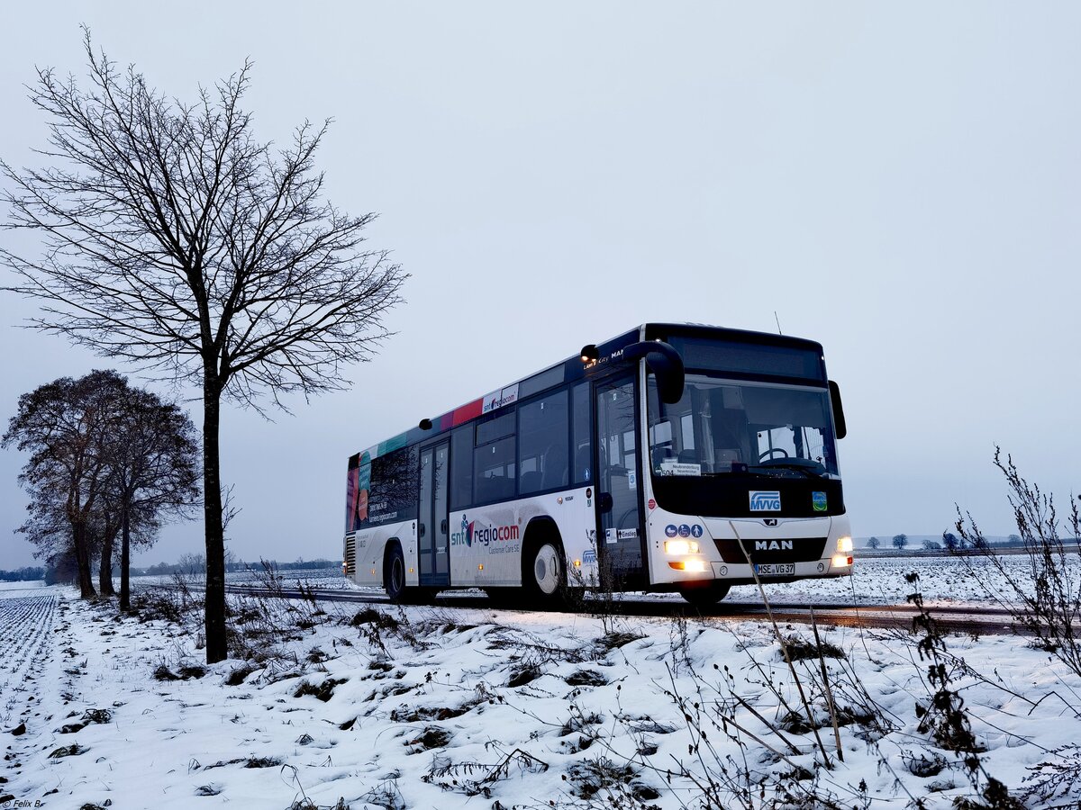 MAN Lion's City LE Ü der MVVG zwischen Roggenhagen und Brunn am 10.12.2021