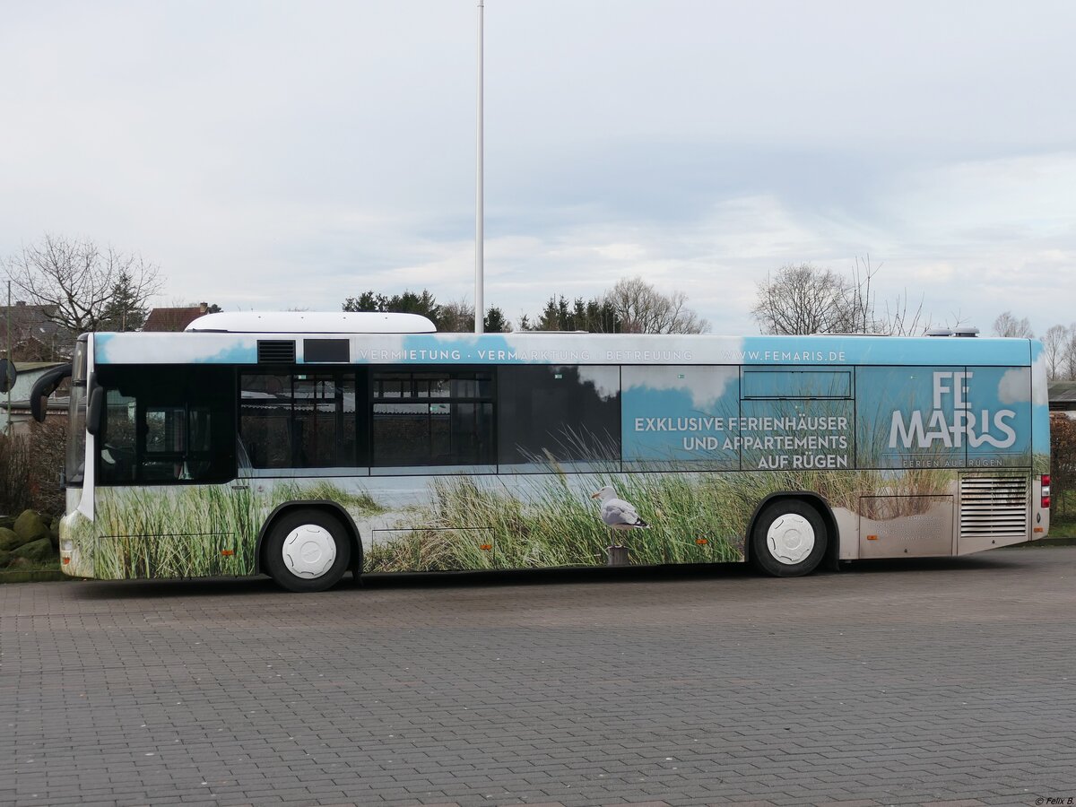MAN Lion's City LE Ü der Oppermann Transporte aus Deutschland in Bergen am 16.02.2024
