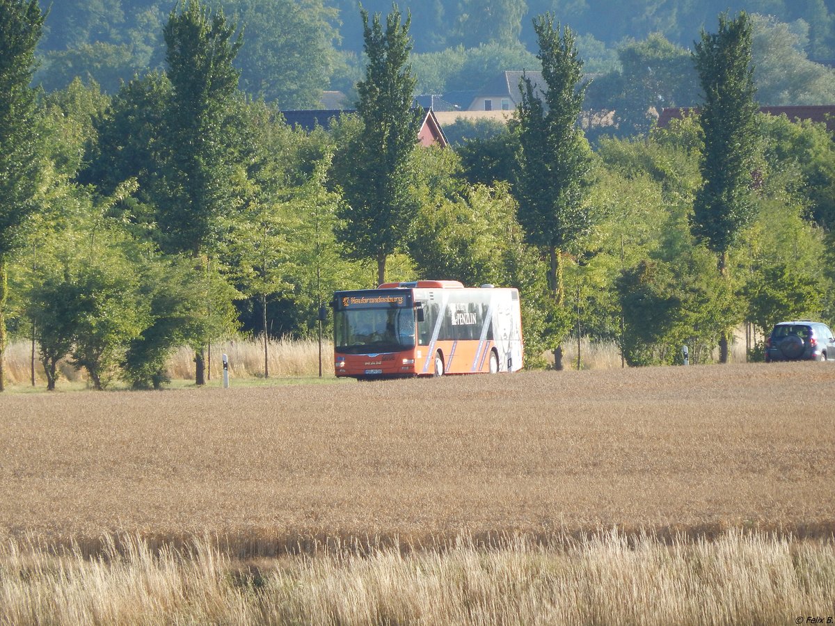 MAN Lion's City der MVVG in Neubrandenburg am 16.07.2018