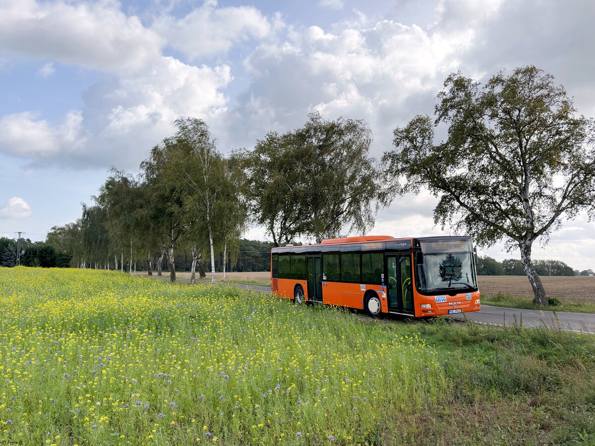 MAN Lion's City der MVVG in Quetzin am 04.10.2023