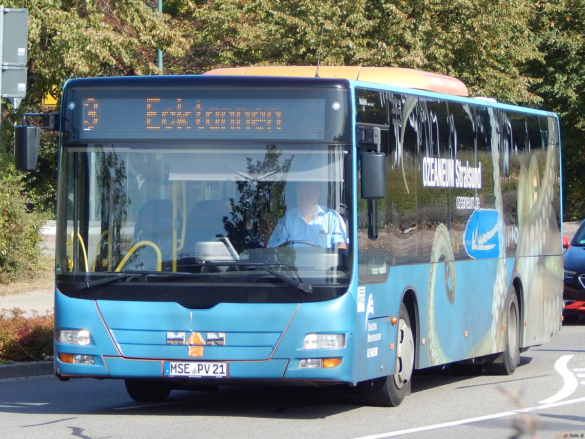 MAN Lion's City der MVVG in Waren am 23.09.2019