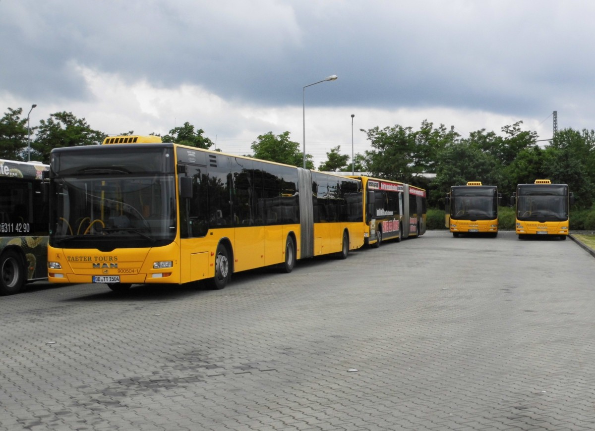 MAN Lions City Taeter-Tours Wg.900 504-1, Dresden-Gruna am 20.06.15