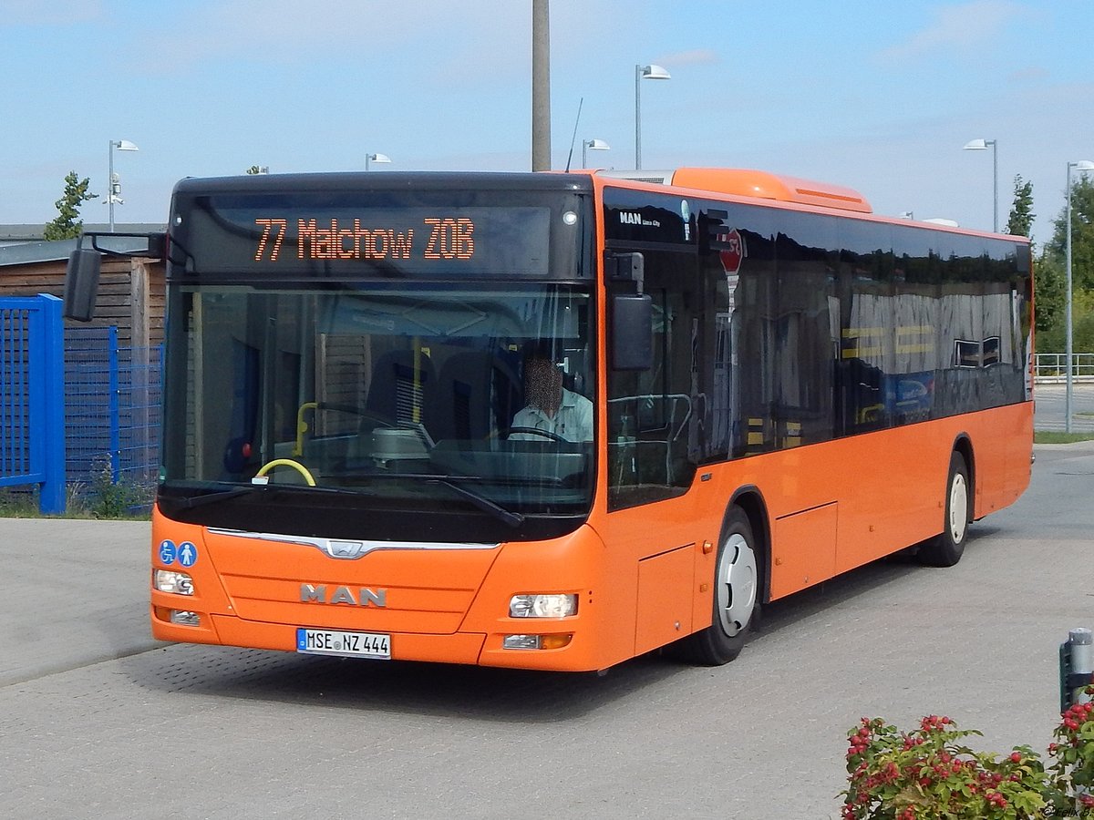 MAN Lion's City von Tonne aus Deutschland in Malchow am 09.09.2018