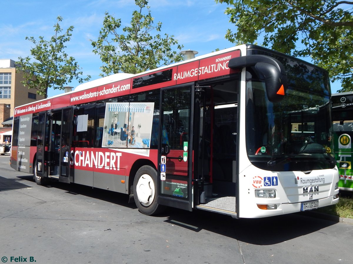 MAN Lion's City der Verkehrsgesellschaft Teltow-Fläming in Potsdam am 07.06.2016