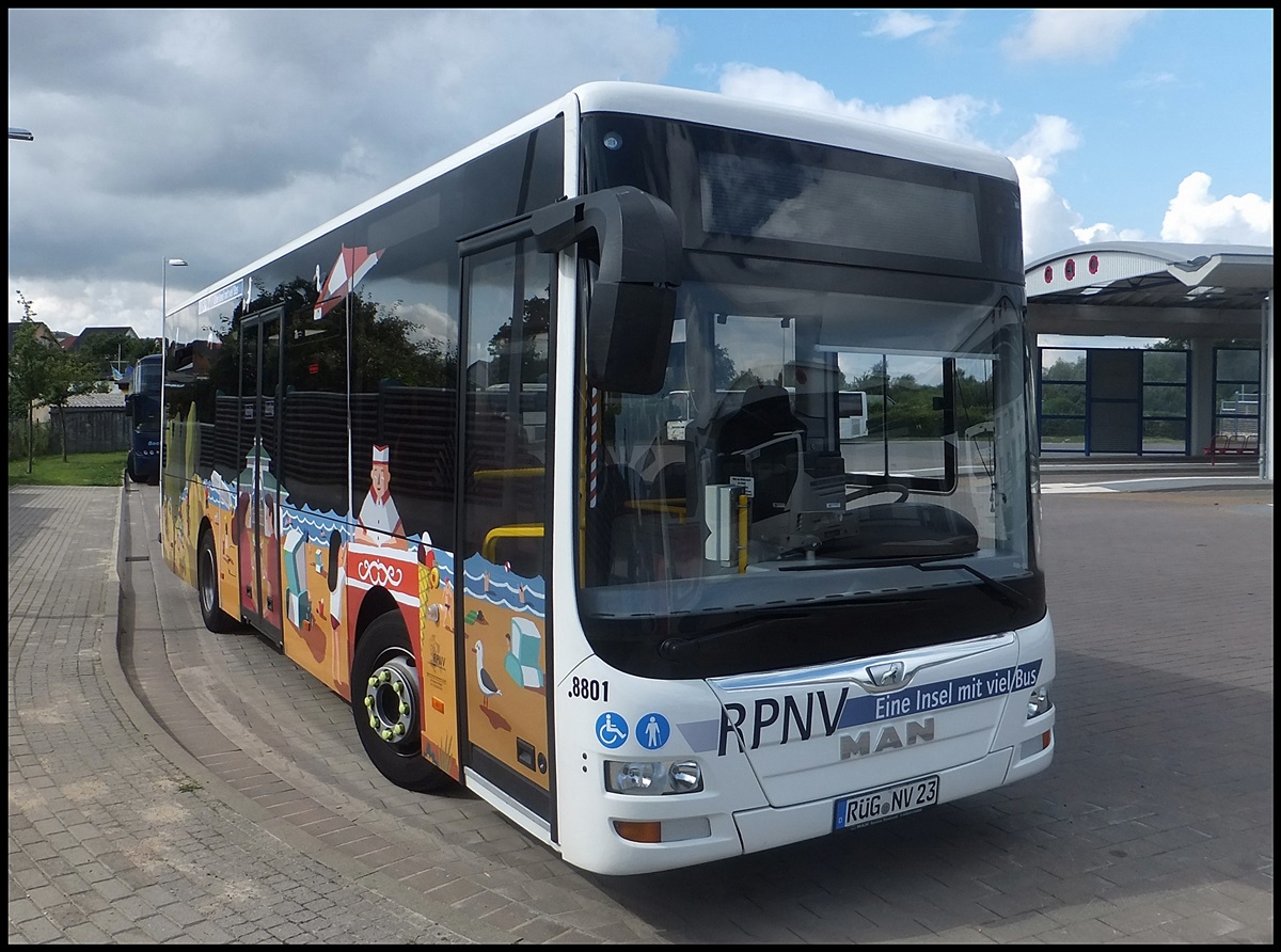 MAN Lion's City/Caetano der RPNV in Bergen am 23.08.2013