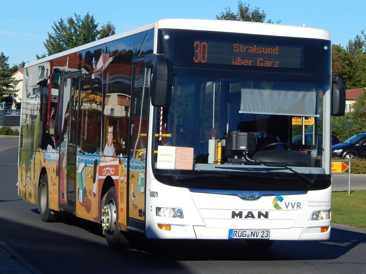MAN Lion's City/Caetano der VVR in Bergen am 15.07.2015