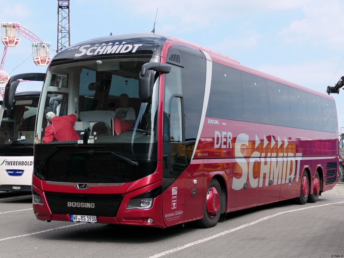 MAN Lion's Coach von Der Schmidt aus Deutschland in Stralsund am 05.09.2021
