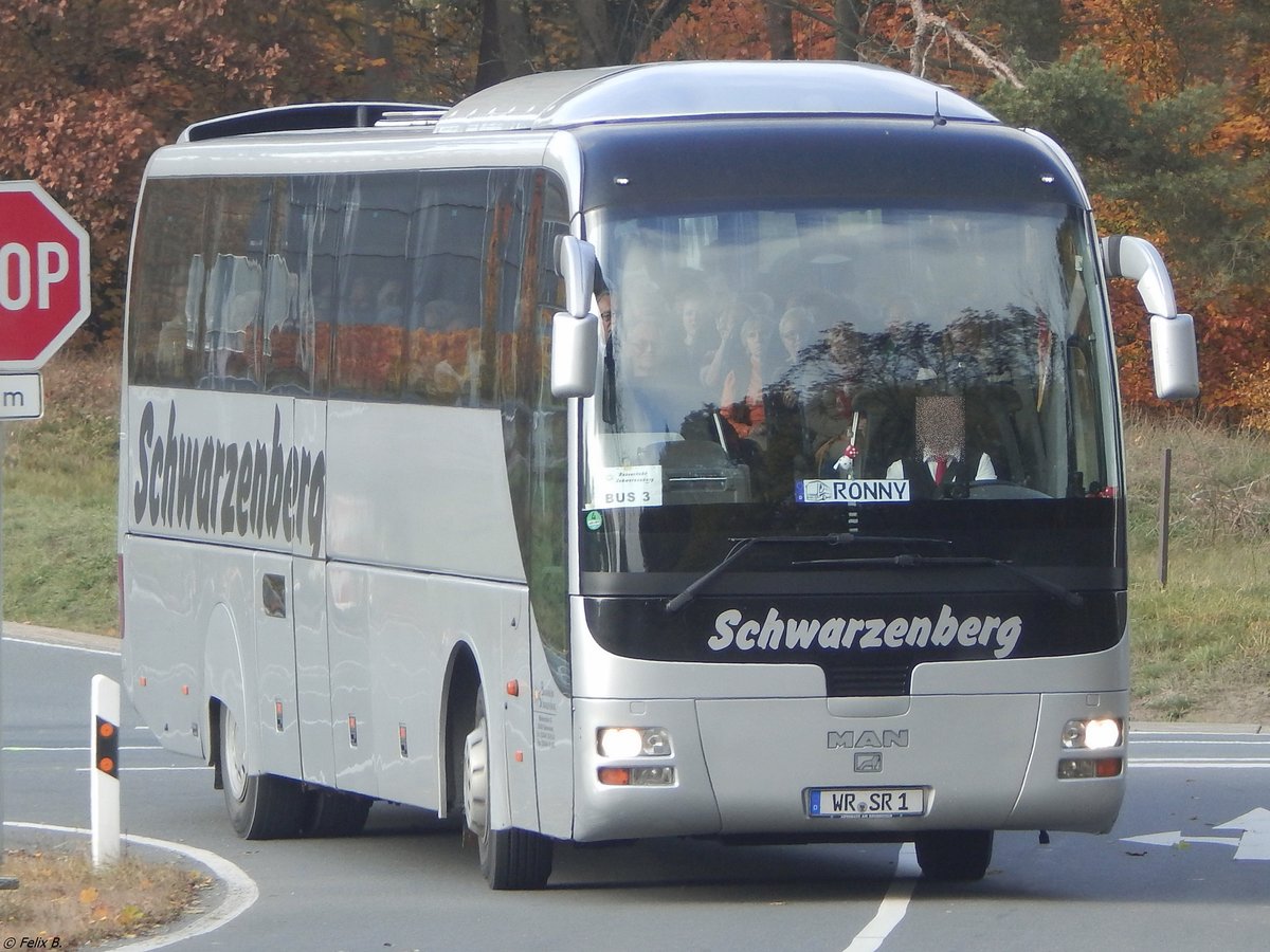 MAN Lion's Coach von Schwarzenberg aus Deutschland im Harz am 29.10.2015
