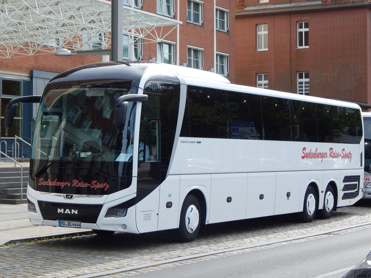 MAN Lion's Coach von Sudenburger Reise-Spatz aus Deutschland in Stralsund am 14.09.2019