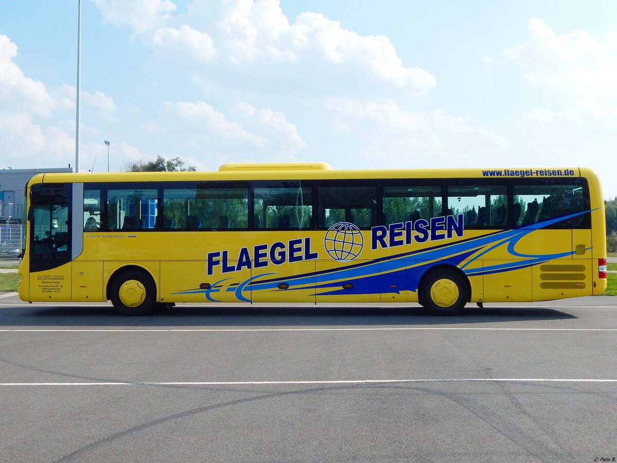 MAN Lion's Intercity von Flaegel Reisen aus Deutschland in Neubrandenburg am 31.08.2019