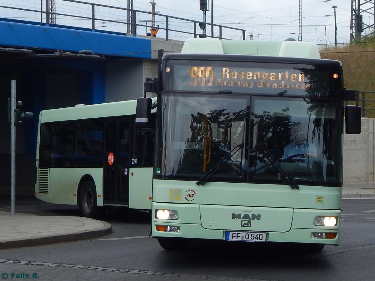 MAN Niederflurbus 2. Generation CNG der Stadtverkehrsgesellschaft mbH Frankfurt Oder in Frankfurt am 09.06.2016