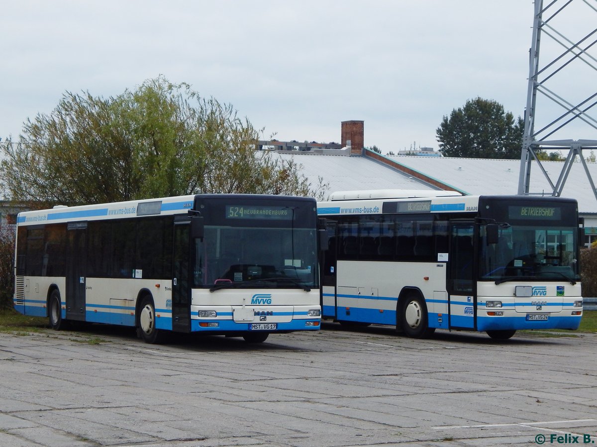 MAN Niederflurbus 2. Generation und MAN SÜ 283 der MVVG in Neubrandenburg am 11.10.2016