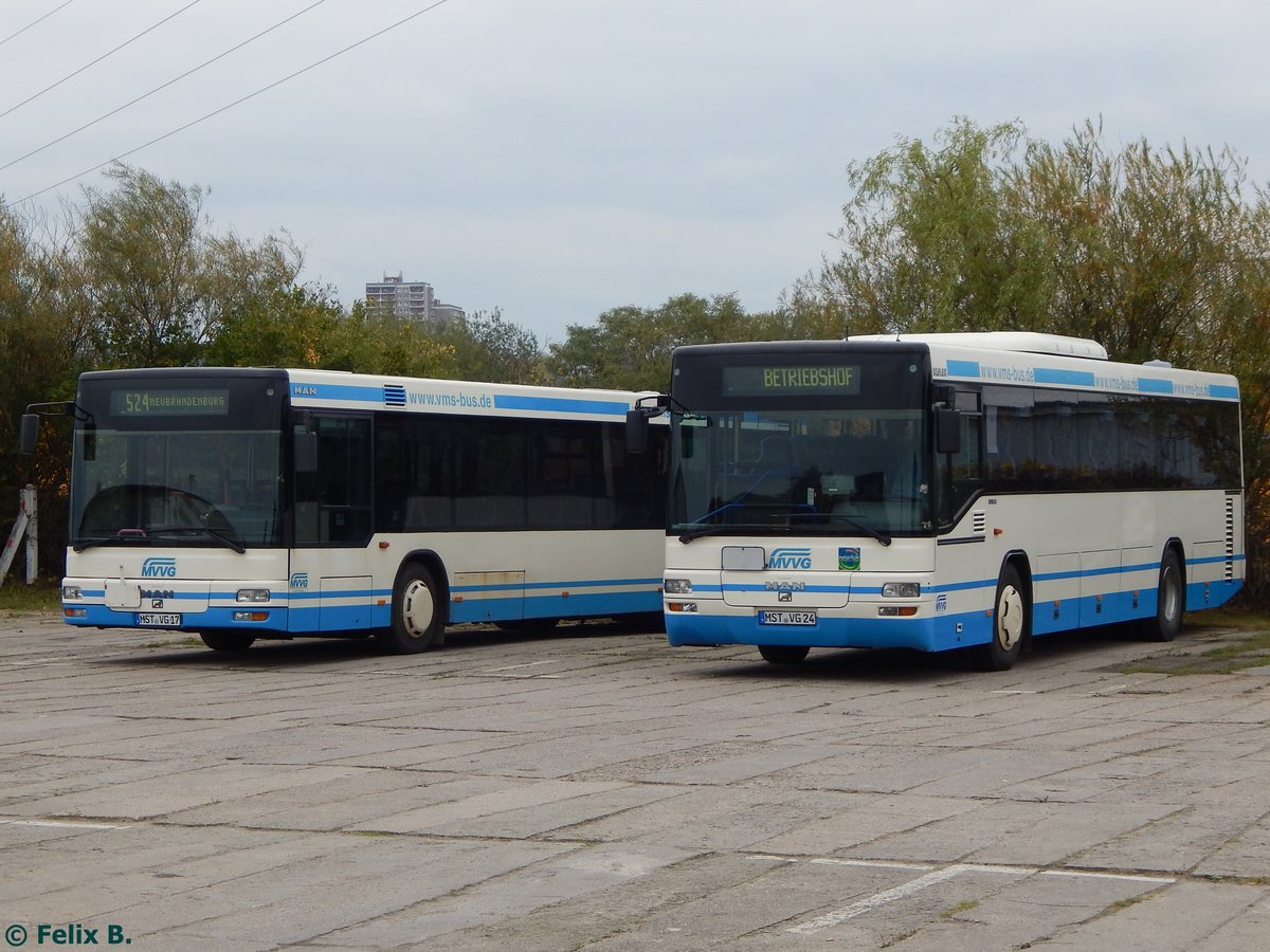 MAN Niederflurbus 2. Generation und MAN SÜ 283 der MVVG in Neubrandenburg am 11.10.2016