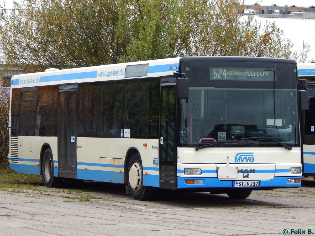 MAN Niederflurbus 2. Generation der MVVG in Neubrandenburg am 11.10.2016