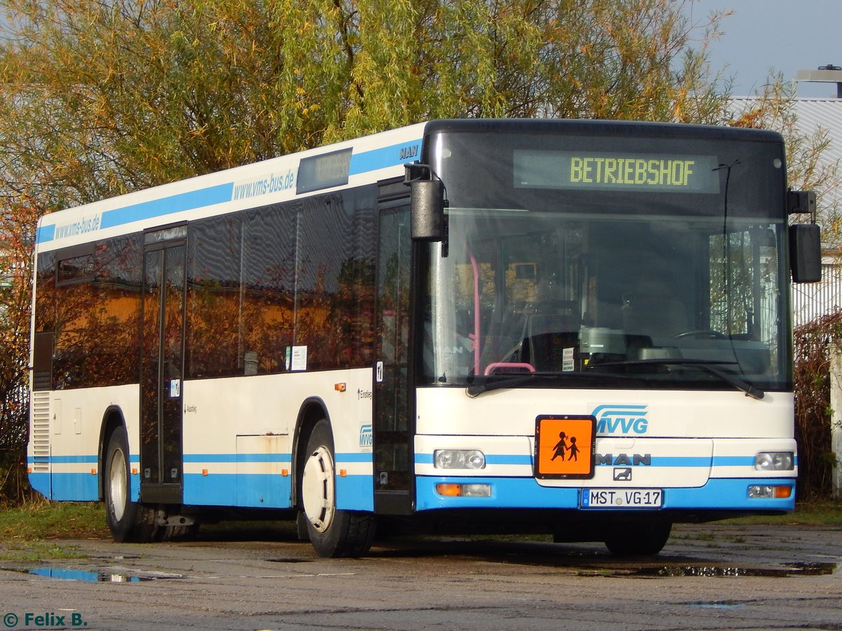 MAN Niederflurbus 2. Generation der MVVG in Neubrandenburg am 19.10.2016