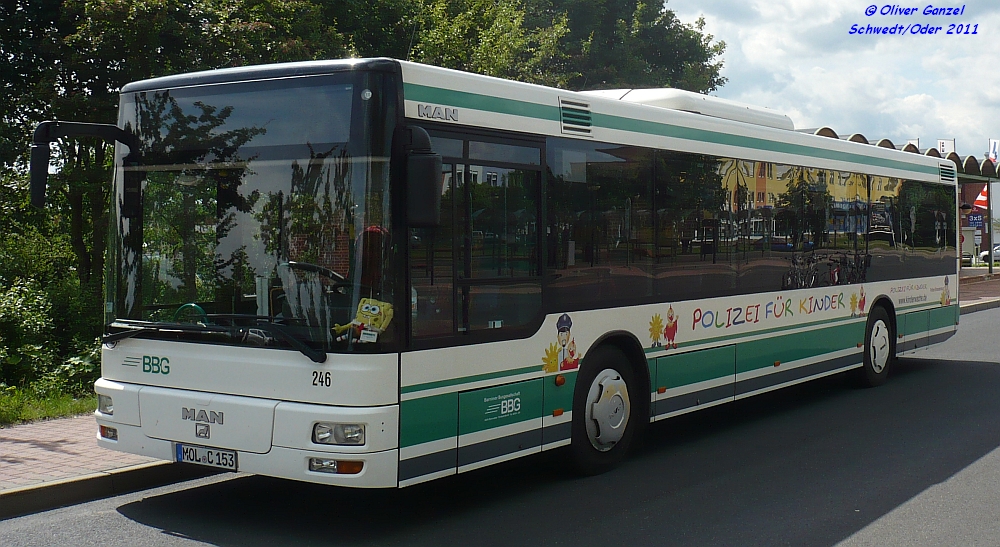 MAN NÜ 313, Wagennummer 246, der Barnimer Busgesellschaft mbH, 2011 beim ZOB Schwedt/Oder.