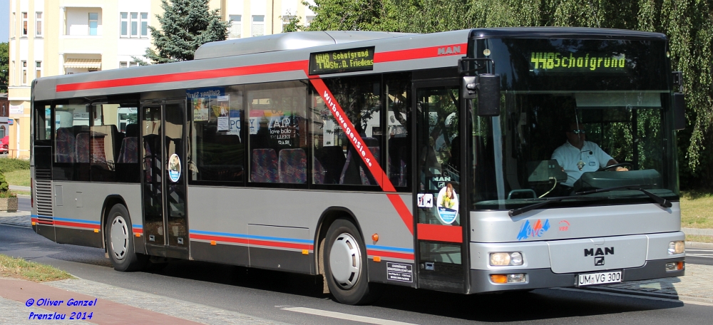 MAN NÜ 313, Wagennummer 300, der Uckermärkischen Verkehrsgesellschaft mbH, 2014 in Prenzlau.