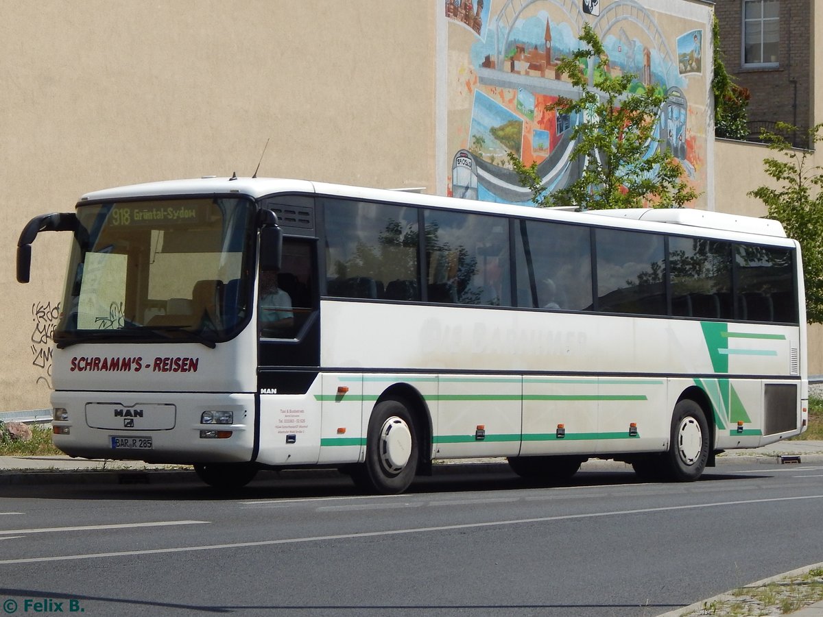 MAN ÜL 313 von Schramm's-Reisen aus Deutschland in Eberswalde am 09.06.2016