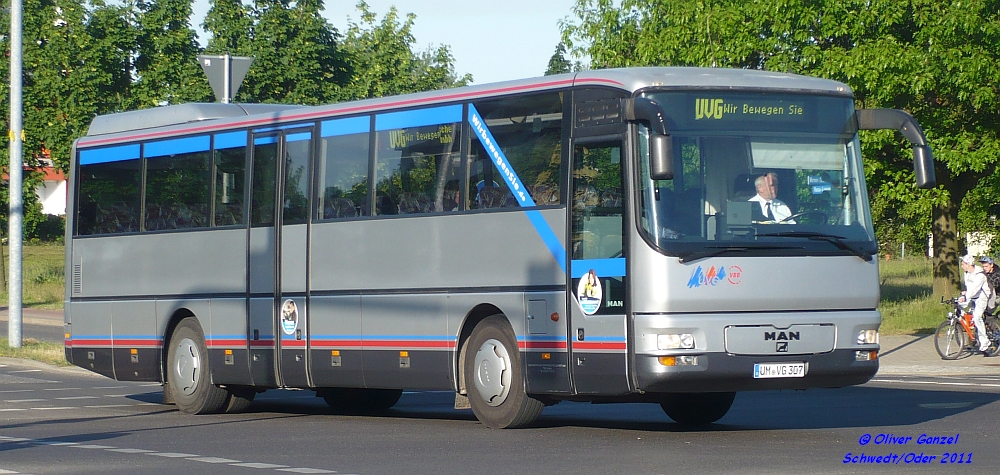 MAN ÜL 313, Wagennummer 307, der Uckermärkischen Verkehrsgesellschaft mbH, 2011 beim ZOB Schwedt/Oder.