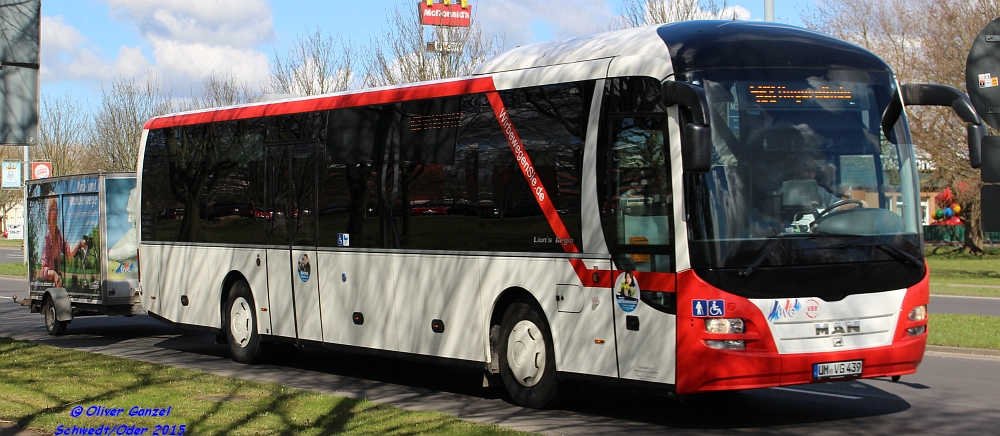 MAN ÜL 314 Lion's City, Wagennummer 439, der Uckermärkischen Verkehrsgesellschaft mbH, 2015 auf dem Uckermark-Shuttle in Schwedt/Oder.