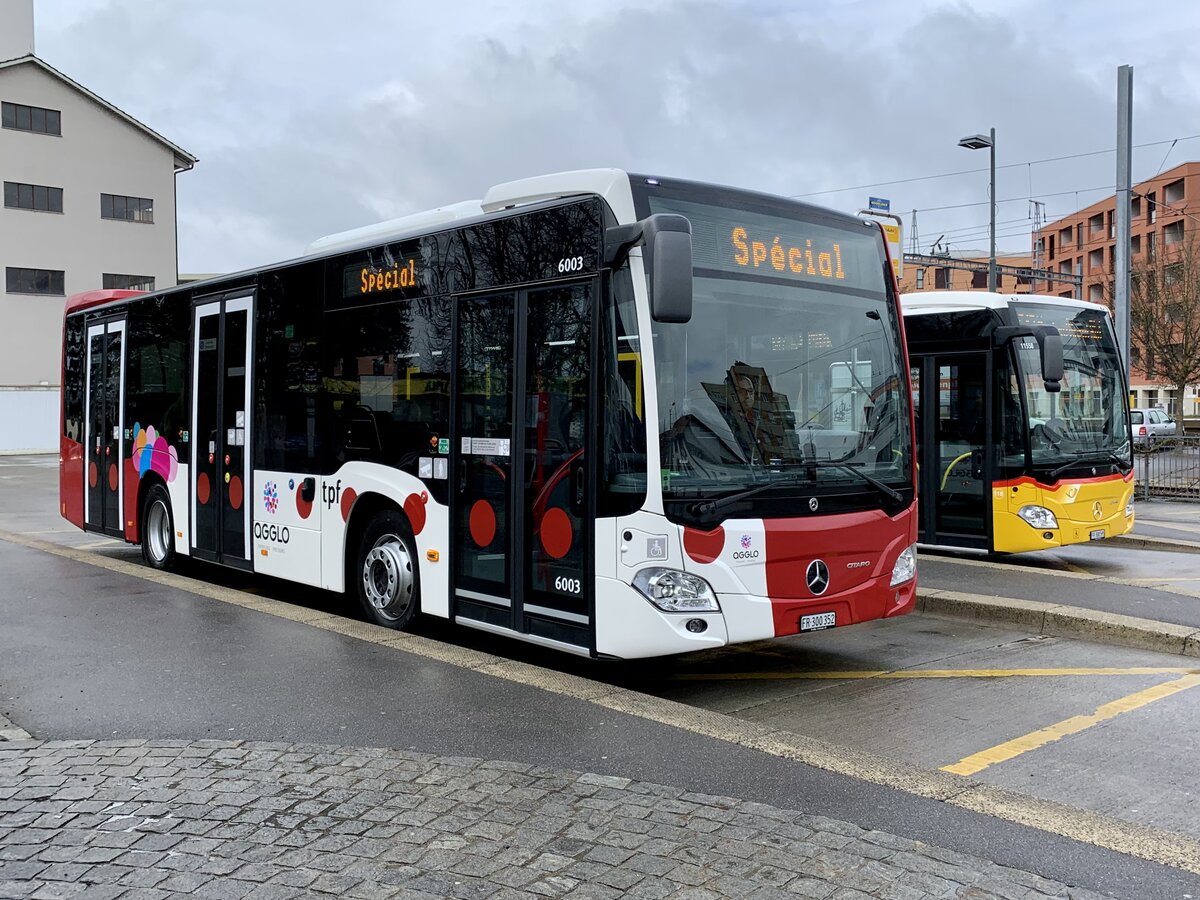 MB C2 K 6003  FR 300 352  der TPF und der C2 hybrid '11558' vom PU Wieland Bus, Murten am 31.3.22 beim Bahnhof Düdingen.