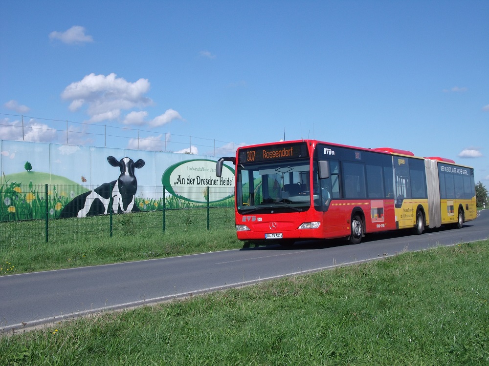 MB O 530 II G - DD RV 7304 - Wagen 7304 - in Kleinerkmannsdorf, Pirnaer Landstraße - am 19-September-2015 --> Fotosonderfahrt