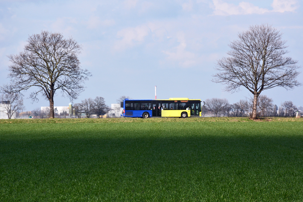 MB O 530 der RVK/SVE eingerahmt zwischen 2 Bäumen - 25.02.2016