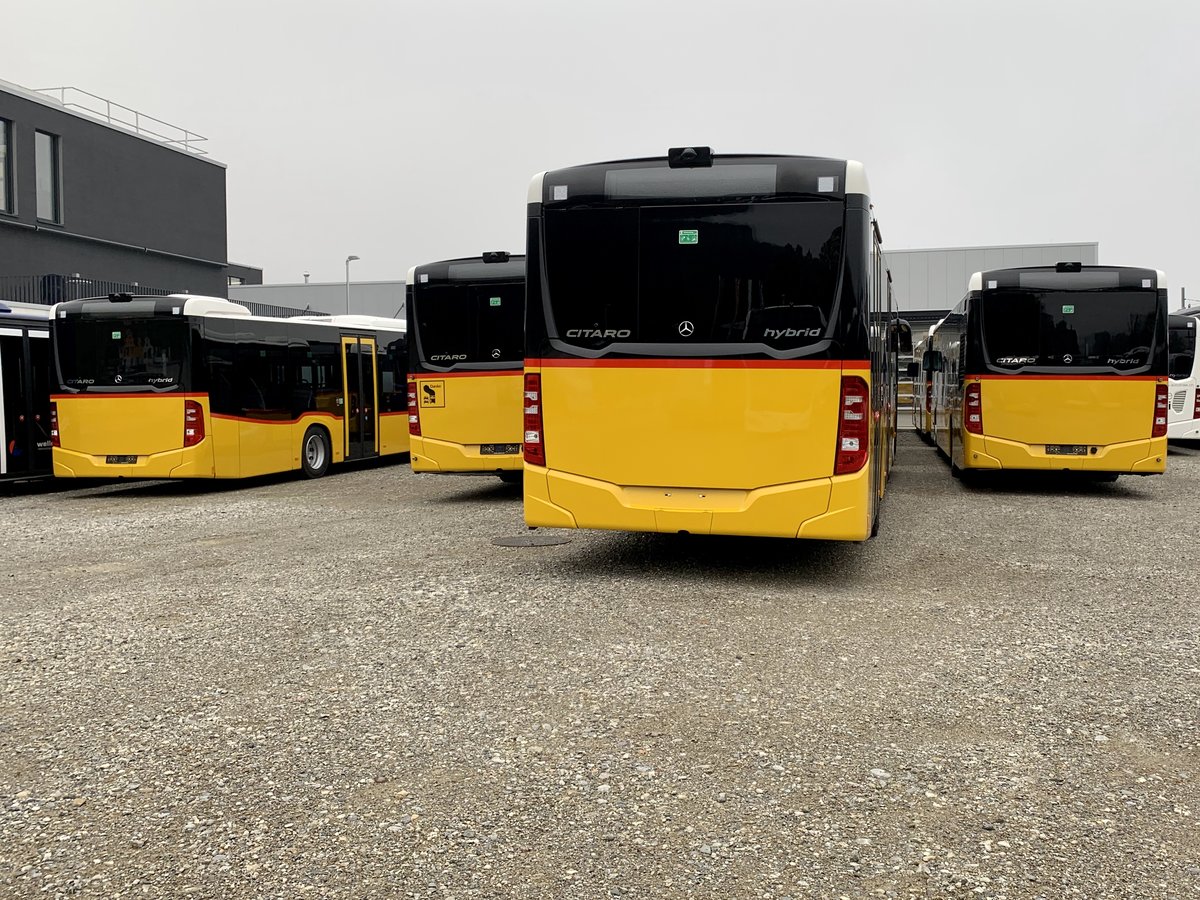 Mehrere Hecks neuer MB C2 hybriden für diverse Postautounternehmer, (v. Links nach Rechts) C2 K PU Schwizer Goldach, '11558' Wielandbus AG Murten, Indermühle Reckingen AG und '11404' Regie Interlaken, am 11.11.20 bei Evobus in Winterthur.