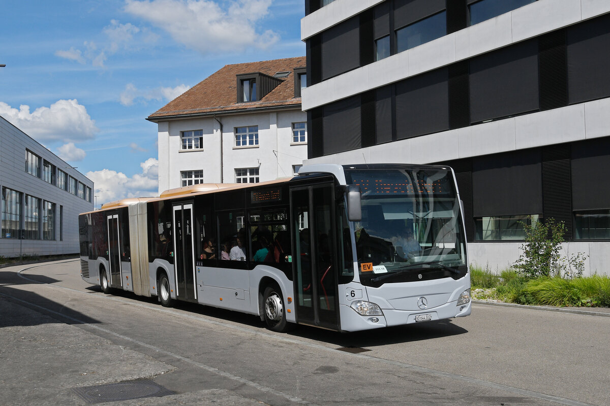 Mercedes Citaro 6 von Gremlich in Givrins, auf der Tramersatzlinie 11, f�hrt am 01.06.2026 durch die Florenzstrasse. Aufnahme Basel.