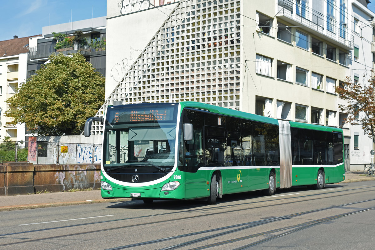 Mercedes Citaro 7016, im Einsatz auf der Linie 6 als Tramersatz, fährt zur Haltestelle Morgartenring Richtung Allschwil Dorf. Die Aufnahme stammt vom 19.08.2018.