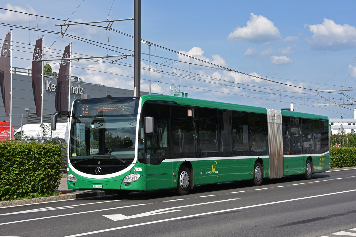 Mercedes Citaro 7036, auf der Tramersatzlinie 14, die wegen einer Grossbaustelle nicht mit Tramzügen fahren kann, bedient am 22.05.2023 die Haltestelle Lachmatt.