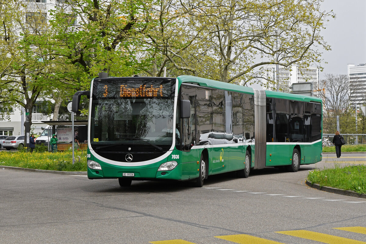 Mercedes Citaro 7036 fährt am 08.04.2024 als Tramersatz auf der Linie 3, die wegen einer Grossbaustelle am Steinenberg nicht Richtung Barfüsserplatz fahren kann. Hier wendet der Bus am Kannenfeldplatz.