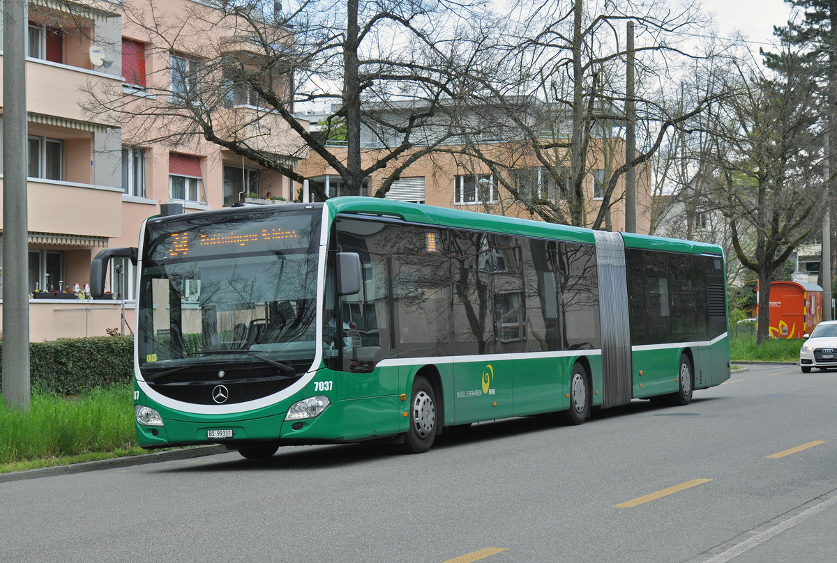 Mercedes Citaro 7037, auf der Linie 34 fährt zur Haltestelle Gotenstrasse. Die Aufnahme stammt vom 12.04.2016.