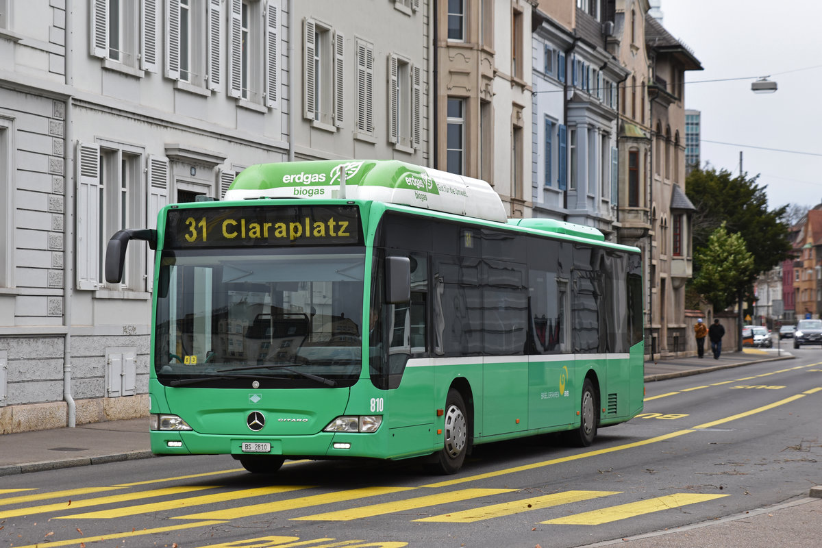 Mercedes Citaro 810, auf der Linie 31, fährt zur Haltestelle Wettsteinplatz. Die Aufnahme stammt vom 10.02.2019.