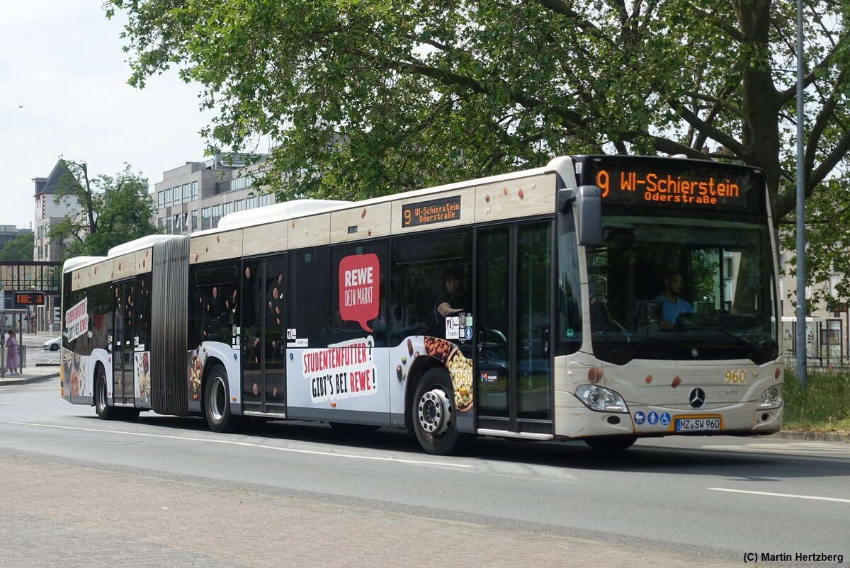 Mercedes Citaro C2 G  Mainzer Mobilität , Juni 2023
