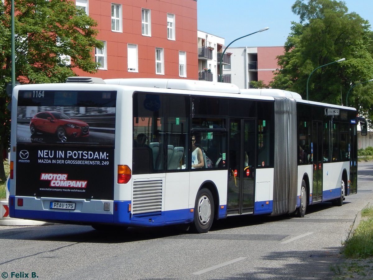 Mercedes Citaro I der Beelitzer Verkehrs- und Servicegesellschaft mbH in Potsdam am 07.06.2016