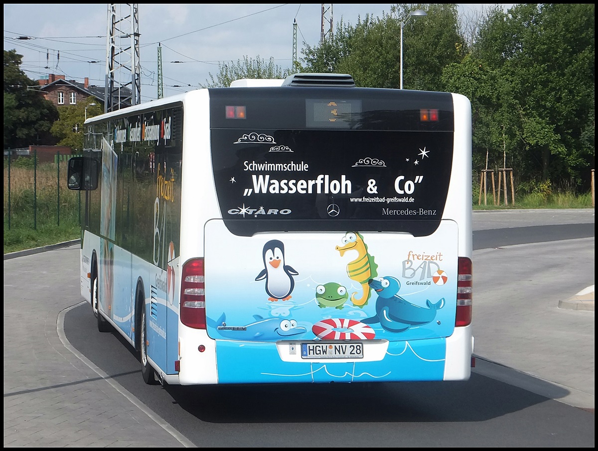 Mercedes Citaro II der Stadtwerke Greifswald in Greifswald am 29.08.2013