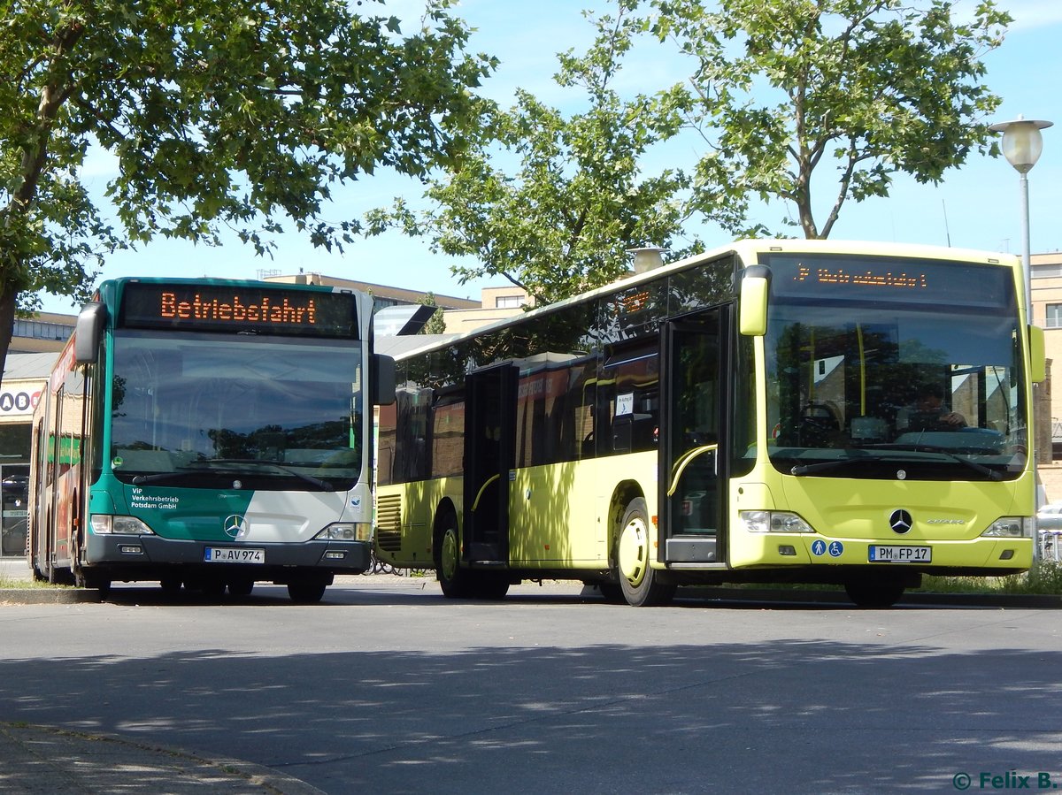 Mercedes Citaro II vom Verkehrsbetrieb Potsdam und Mercedes Citaro II von Bellevue Tours aus Deutschland in Potsdam am 07.06.2016