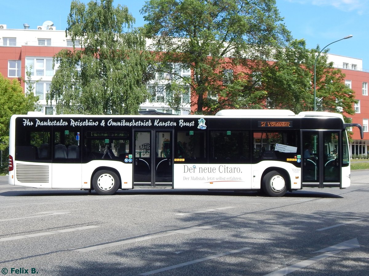 Mercedes Citaro III von Karsten Brust aus Deutschland in Potsdam am 07.06.2016