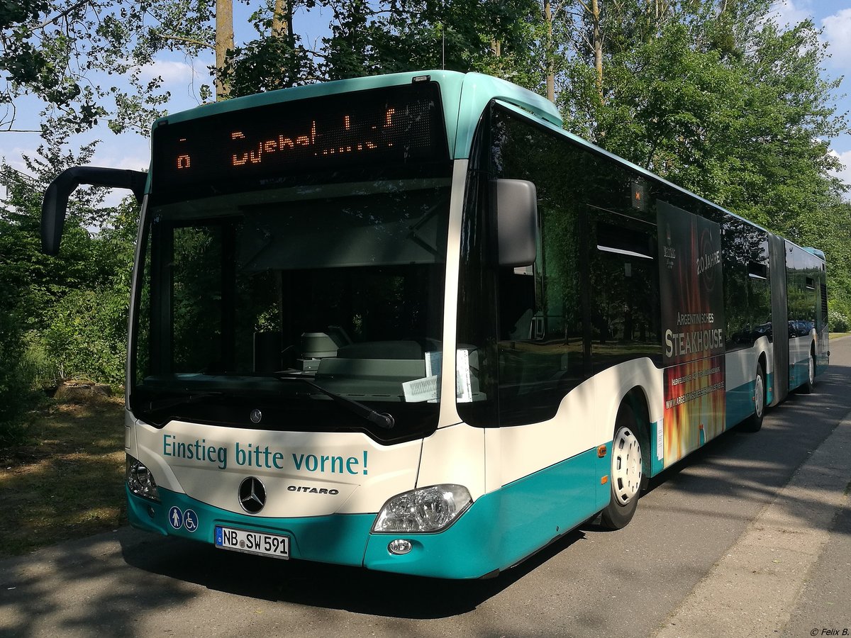 Mercedes Citaro III der Neubrandenburger Verkehrsbetriebe in Neubrandenburg am 29.05.2018