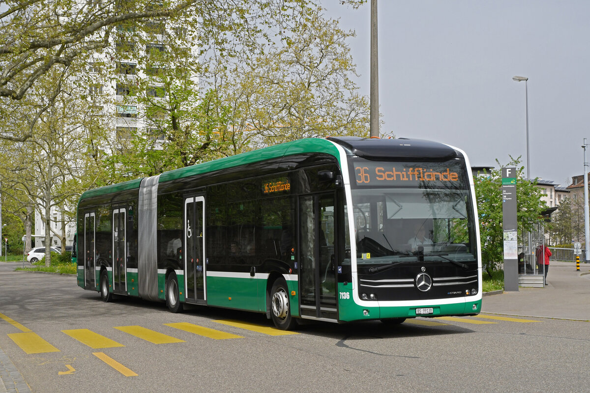 Mercedes eCitaro 7136, auf der Linie 36, fährt am 08.04.2024 zur Haltestelle Kannenfeldplatz.