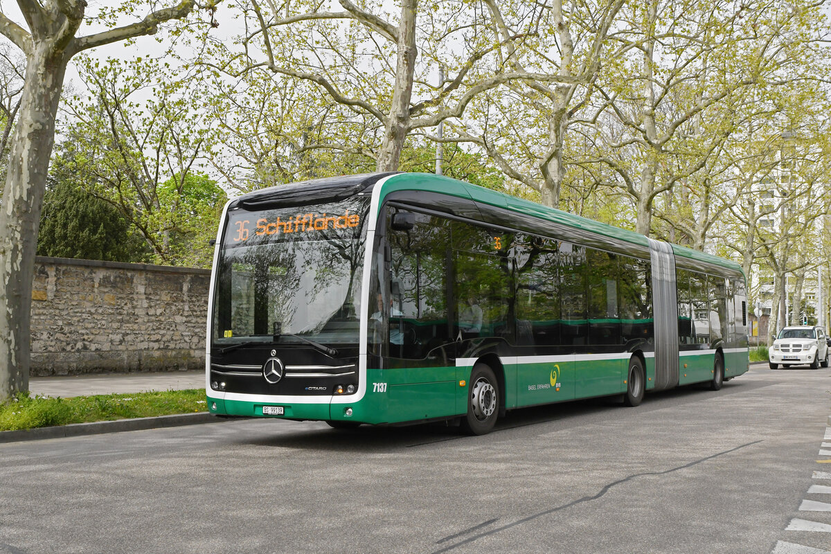 Mercedes eCitaro 7137, auf der Linie 36, fährt am 08.04.2024 zur Haltestelle Kannenfeldplatz.