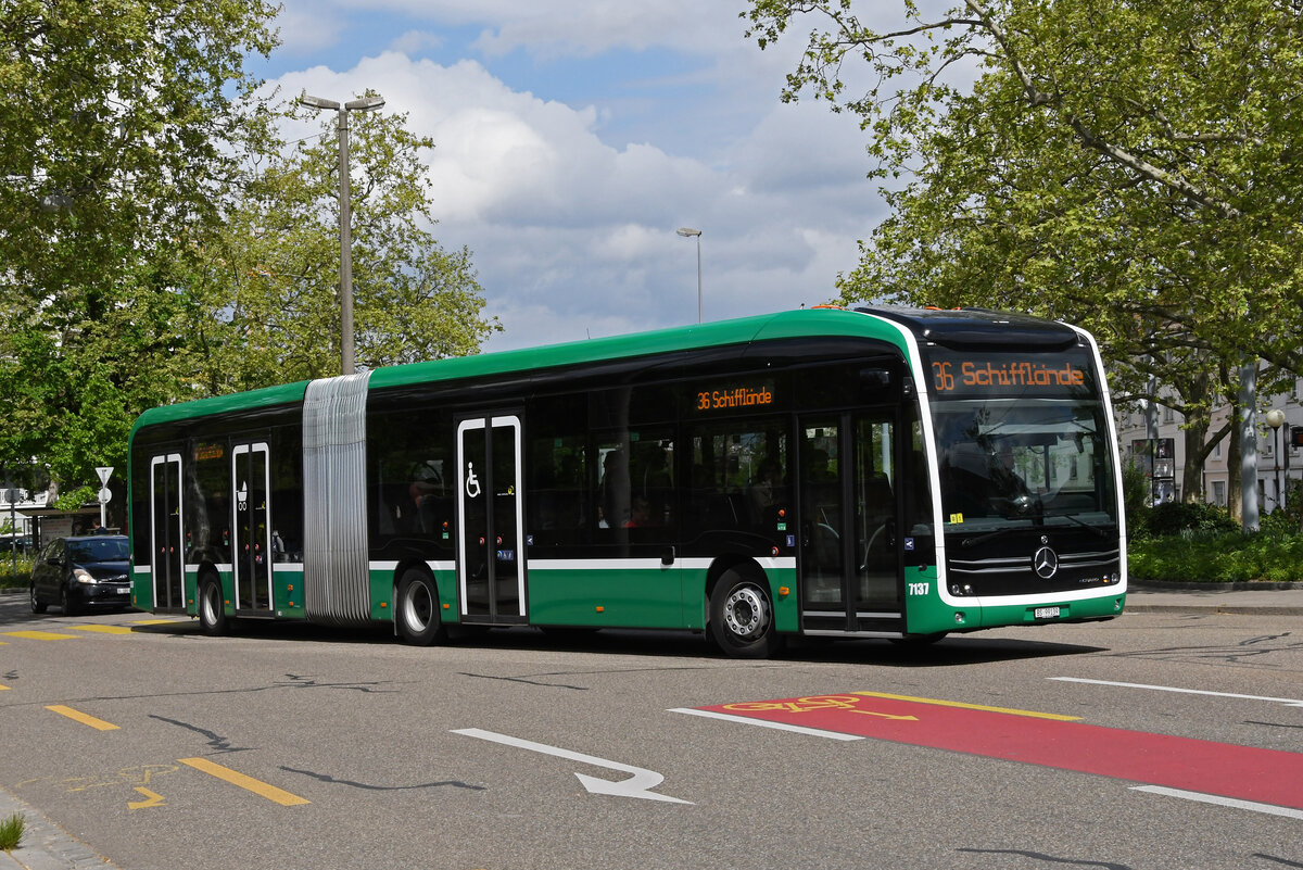 Mercedes eCitaro 7137, auf der Linie 36, fährt am 15.04.2024 zur Haltestelle Kannenfeldplatz.