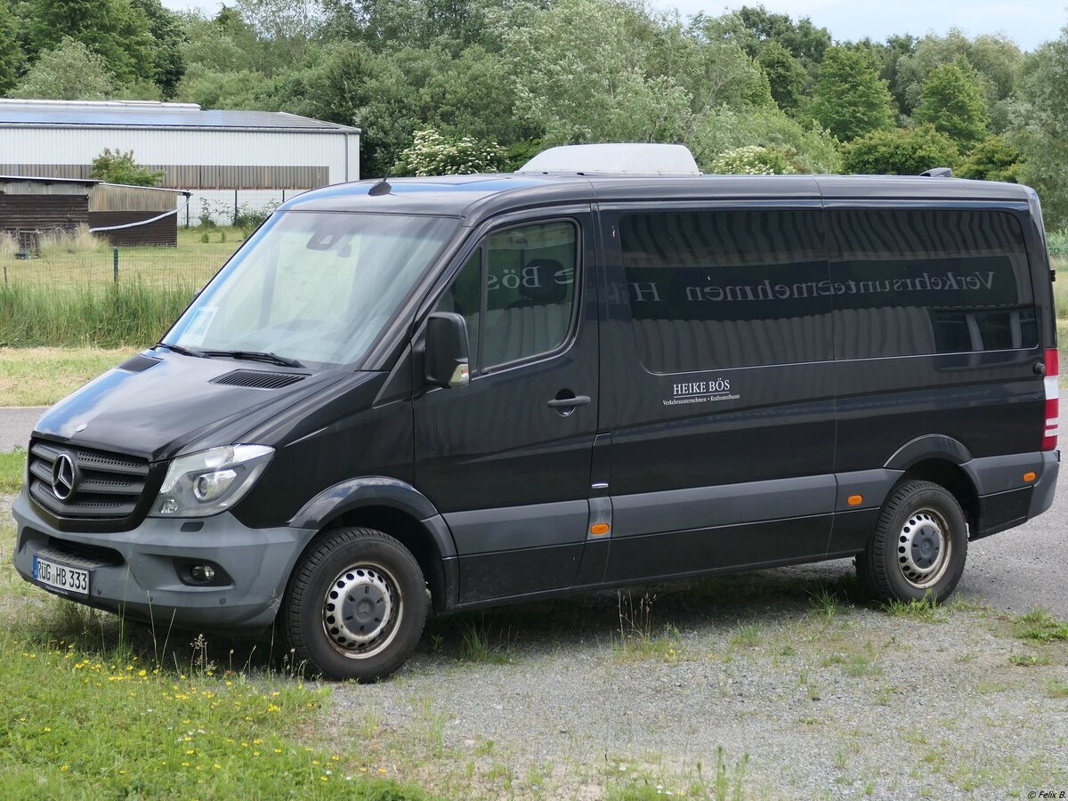 Mercedes Sprinter von Heike Bös aus Deutschland in Stralsund am 09.06.2024