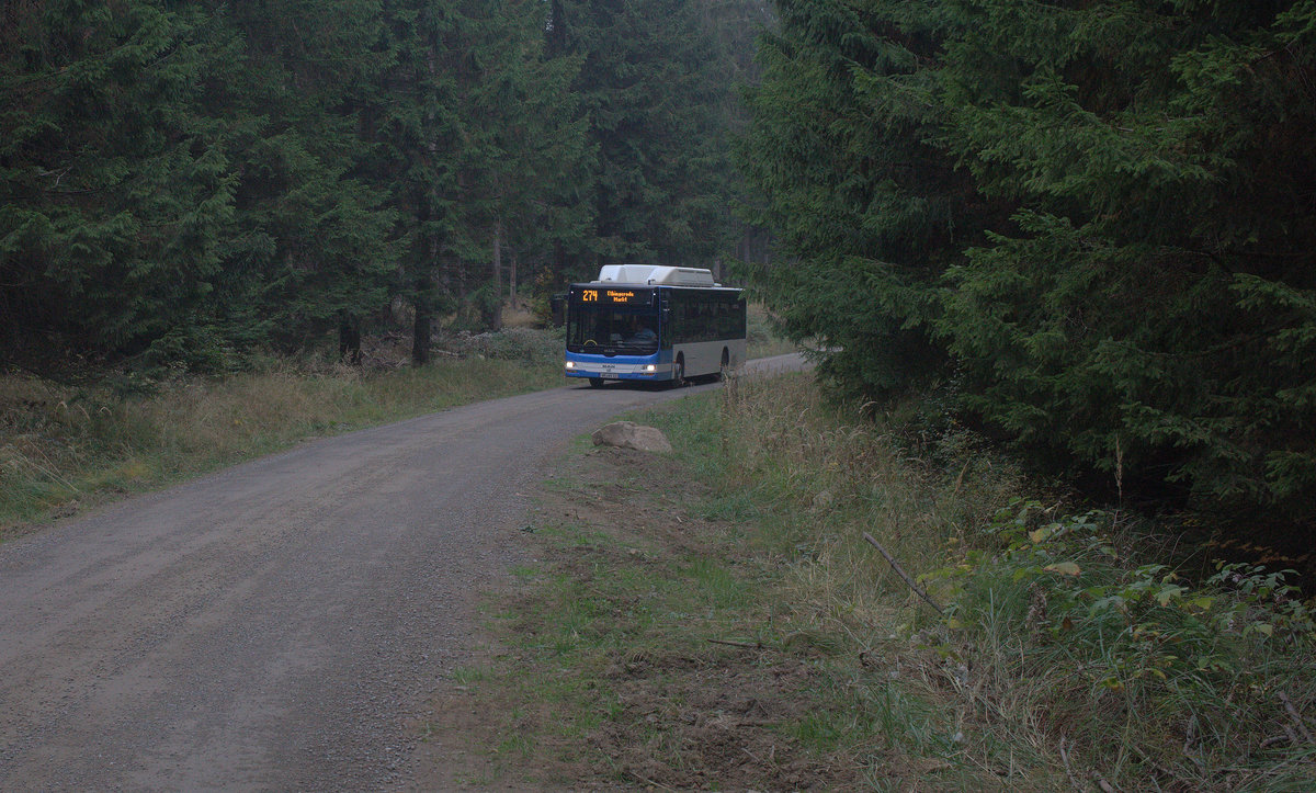 Nein, keine Umleitung, sondern die reguläre Buslinie 274 von Ilsenburg nach Elbingerode, so wie der Fotograf allein zu Fuß unterwegs war, war auch der Bus nur sehr mäßig besetzt. 18.10.2018  11:44 Uhr.