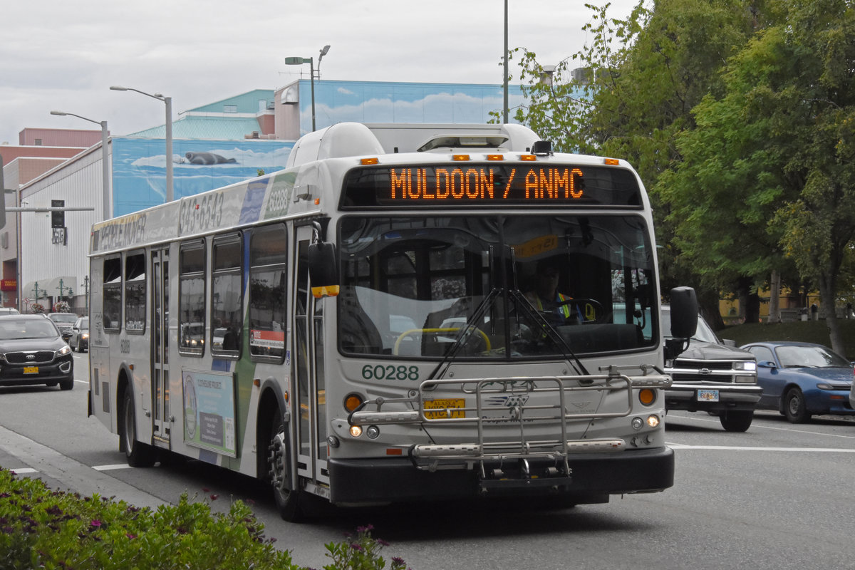 New Flyer Bus 60288 im Einsatz in Anchorage. Die Aufnahme stammt vom 15.08.2019.