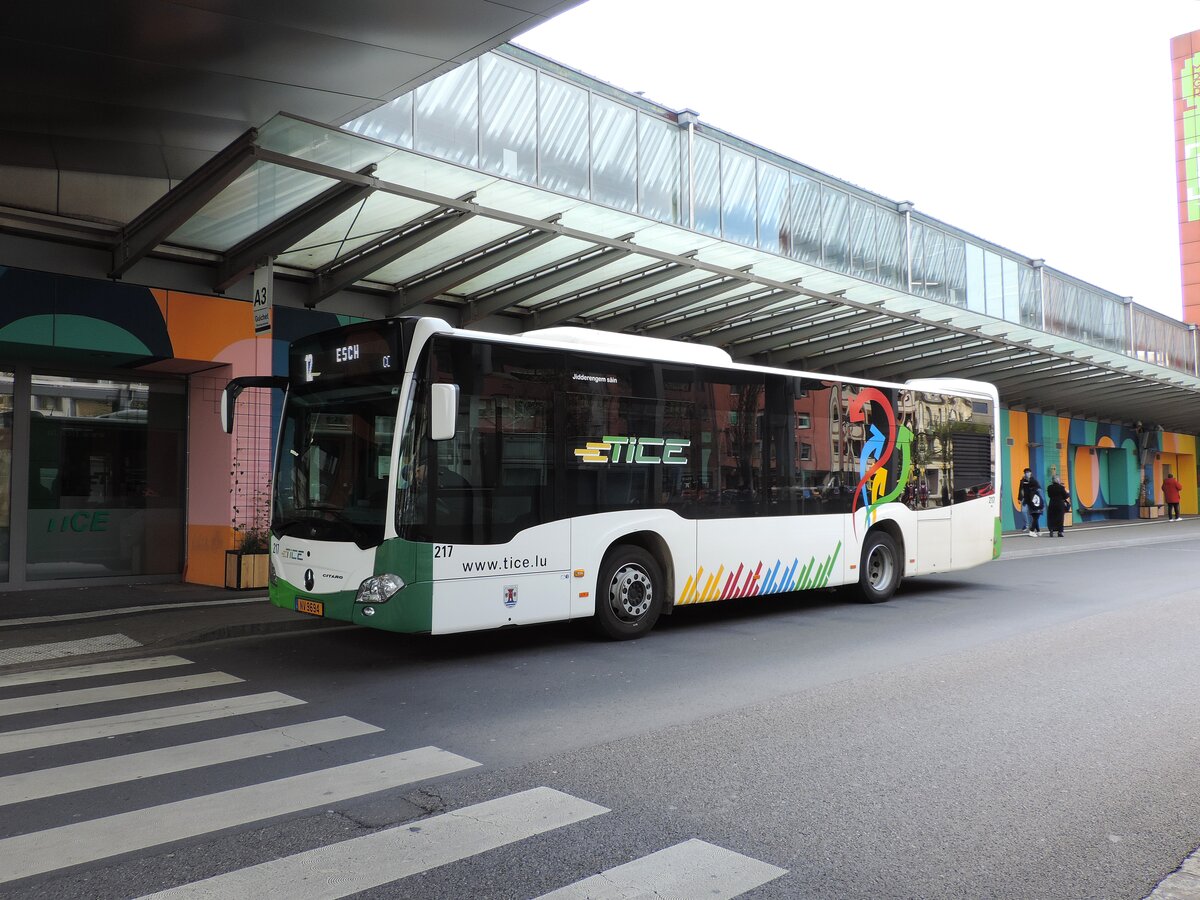 NV 9694, Mercedes Citaro C2 K, Wagen 217, am 20. Mai 2021 auf der Linie 12 beim Hauptbahnhof abgelichtet.