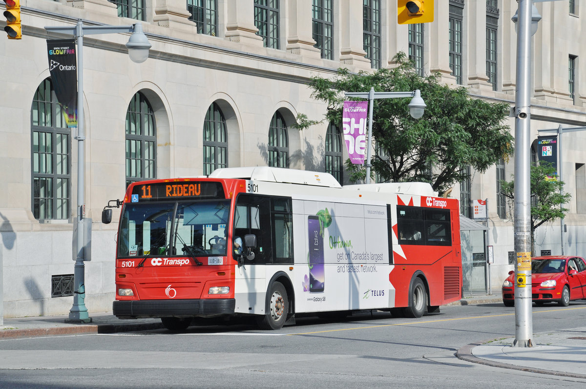 Orion VII Hybrid Bus mit der Nummer 5101, auf der Linie 11 unterwegs in Ottawa. Die Aufnahme stammt vom 17.07.2017.