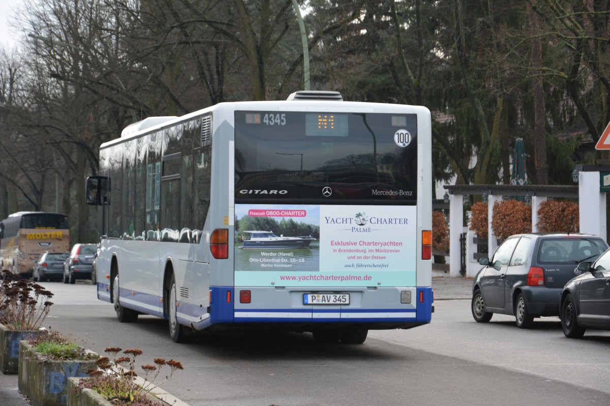 P-AV 345 (Mercedes Benz Citaro Ü / BVSG) ist am 17.01.2015 unterwegs für die Grüne Woche in Berlin. Aufgenommen am S-Bahnhof Olympiastadion.
