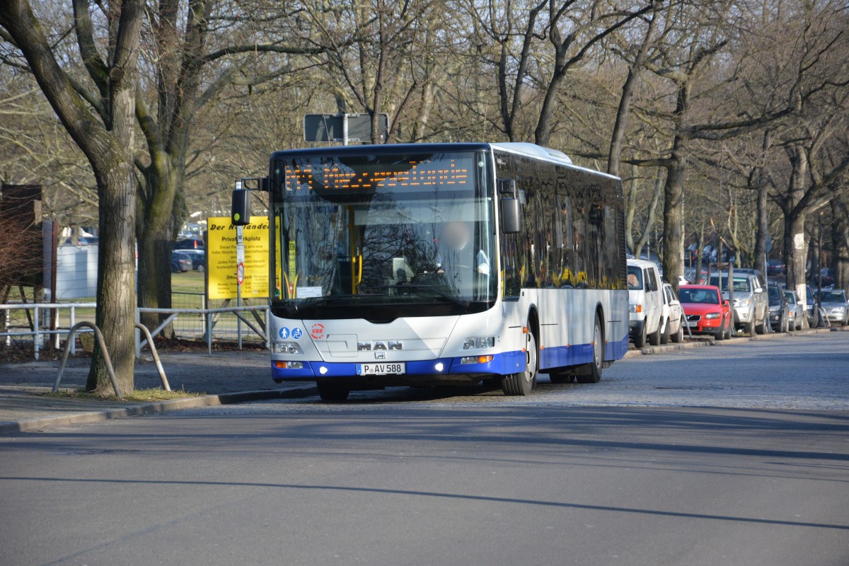 P-AV 588 fährt am 18.01.2015 für die Grüne Woche in Berlin. Aufgenommen an der Trakehner Allee in Berlin, MAN Lion's City.
